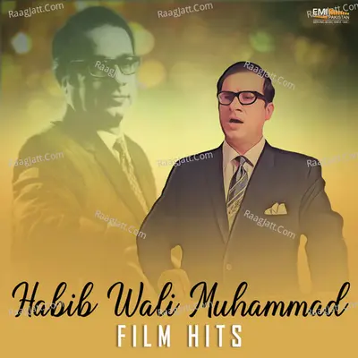 Habib Wali Muhammad Film Hits Poster