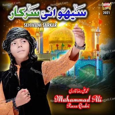 Sehwani Sarkar Cover