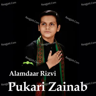 Pukari Zainab Poster