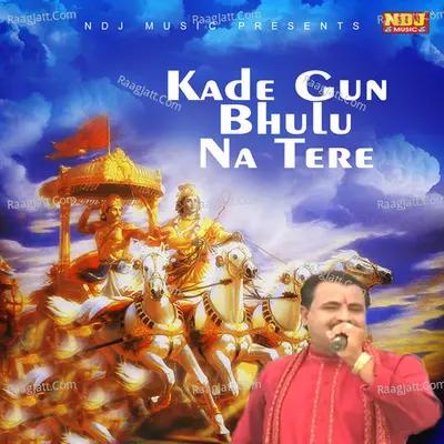 Kade Gun Bhulu Na Tere Cover