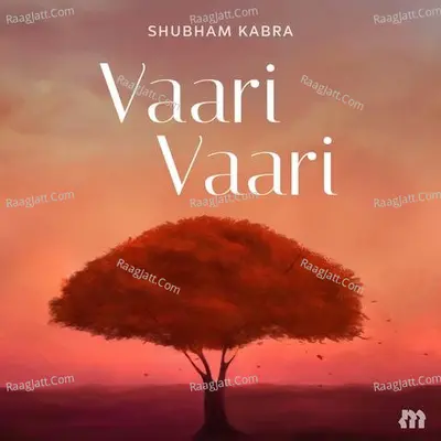 Vaari Vaari Cover