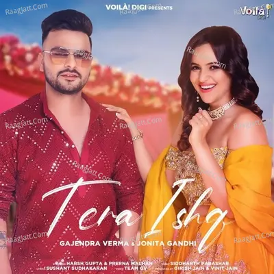 Tera Ishq Cover