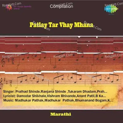 Patlay Tar Vhay Mhana Poster