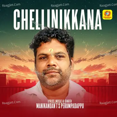 Manikandan T S Perumpadappu
