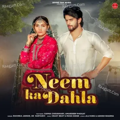 Neem Ka Dahla