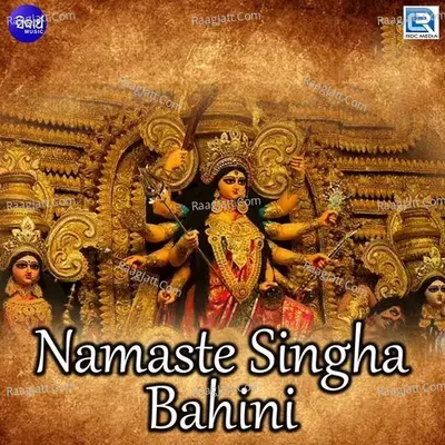 Namaste Singha Bahini Poster