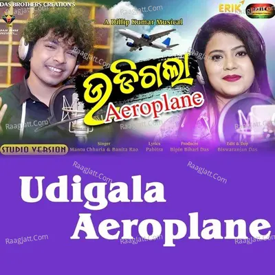 Udigala Aeroplane Cover