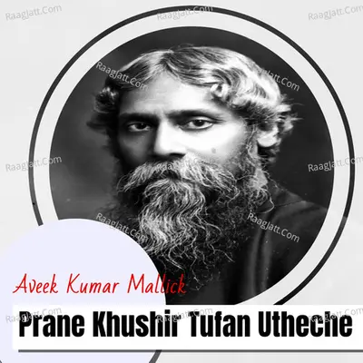 Prane Khushir Tufan Utheche Cover