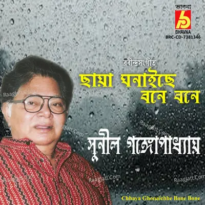 Sunil Gangopadhyay Image
