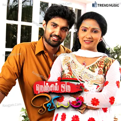 Nenjil Oru Oviyam Poster