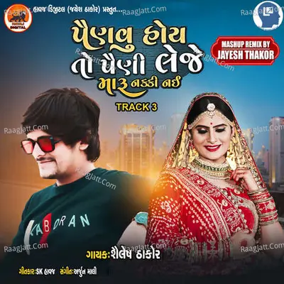 Painavu Hoy To Paini Leje Maru Nakki Nai Track 3 Cover