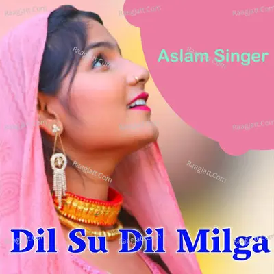 Dil Su Dil Milga Cover