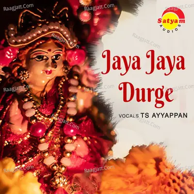Ts Ayyappan