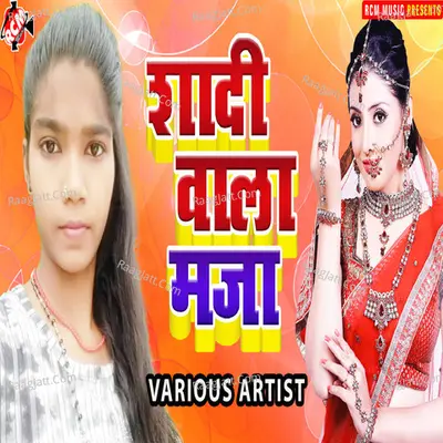 Shadi Wala Maja Poster