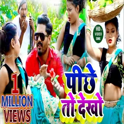 Piche To Dkho Cover