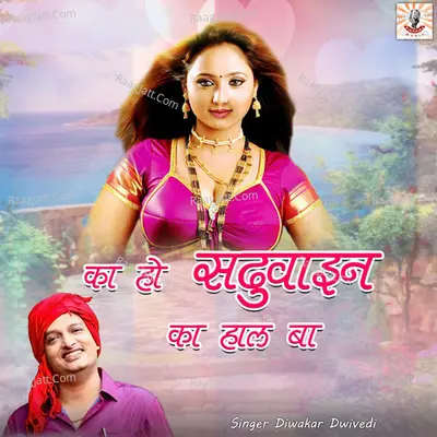 Ka Ho Sadhuain Ka Haal Ba Cover