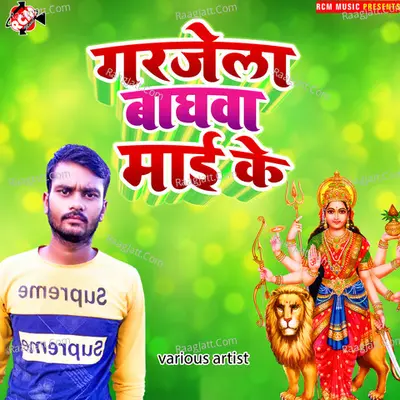 Garjela baghawa mai ke Poster