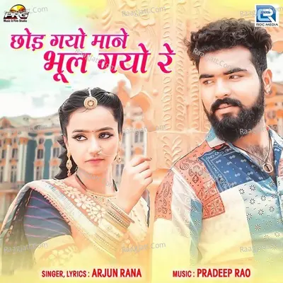 Chhod Gayo Mane Bhool Gayo Re Cover