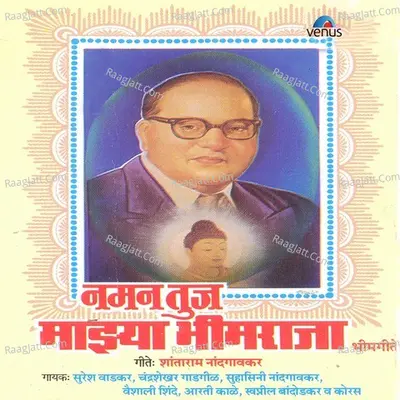 Naman Tujh Majhya Bhimraja Poster