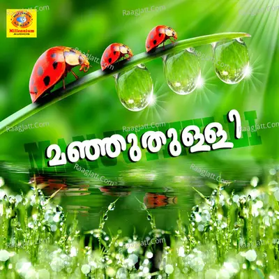 Manjuthulli - Johnson