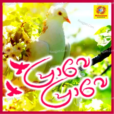 Prave Prave - Veena Prakash
