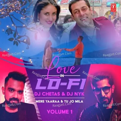 Mere Yaaraa & Tu Jo Mila (From "Love In Lo-Fi Volume 1") Cover