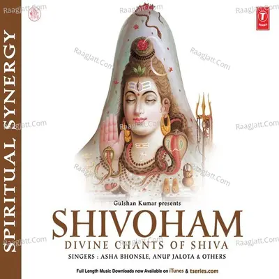 Shivoham - Divine Chants Of Shiva Spiritual Synergy - Anuradha Paudwal