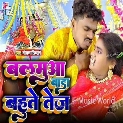 Gautam Siddharth Image