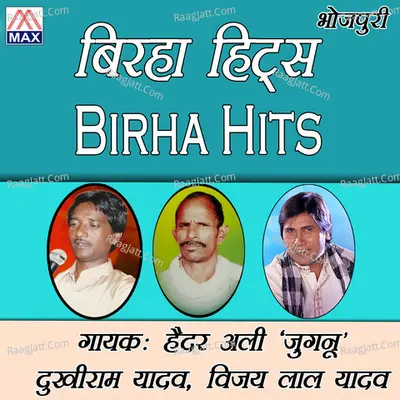 Birha Hits Poster