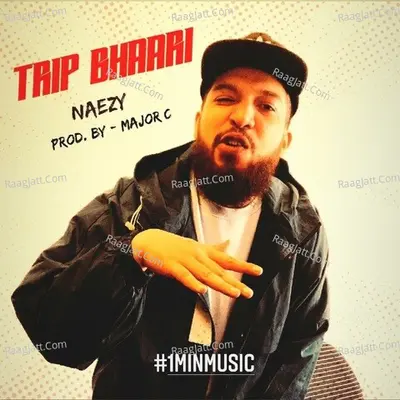 Trip Bhaari - 1 Min Music Cover