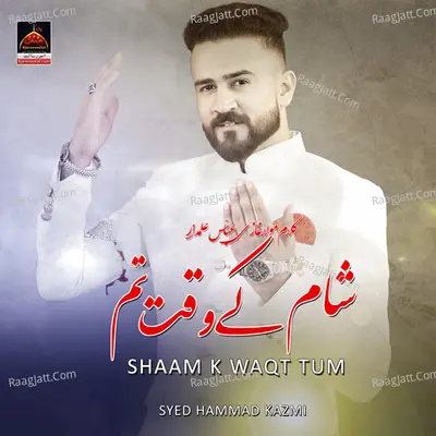 Syed Hammad Kazmi