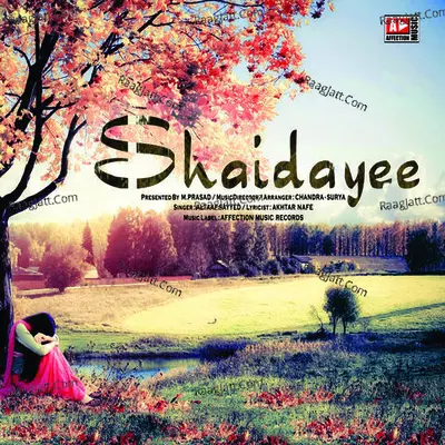 Shaidayee Cover