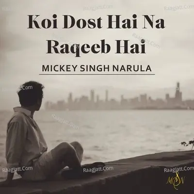 Koi Dost Hai Na Raqeeb Hai Cover