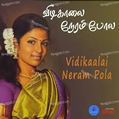 Krishna Iyer Image
