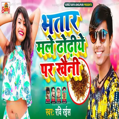 Bhatar Male Dhodhiye Pr Khaini
