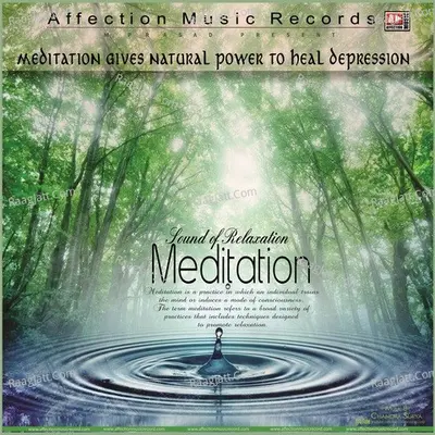 Nature Meditation - Chandra-Surya