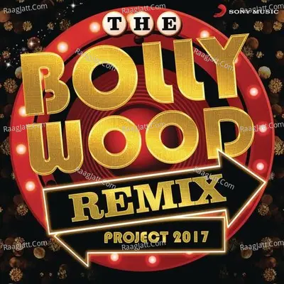 The Bollywood Remix Project 2017 Poster