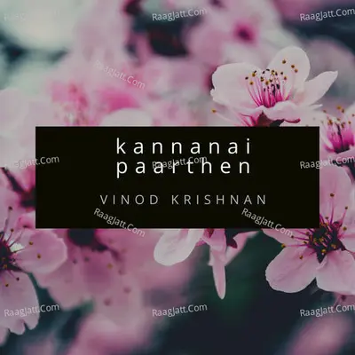 Kannanai Paarthen Cover