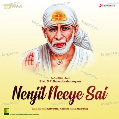 Nenjil Neeye Sai - S. P. Balasubrahmanyam