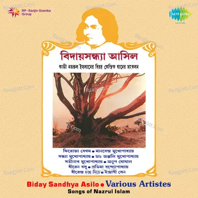 Biday Sandhya Asilo Poster