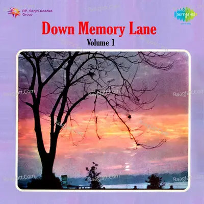 Down Memory Lane Vol 1 - Banasree Sengupta