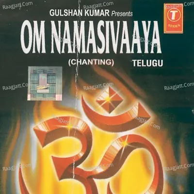 Om Namasivaaya (Chanting) - Vijayalakshmi Sharma