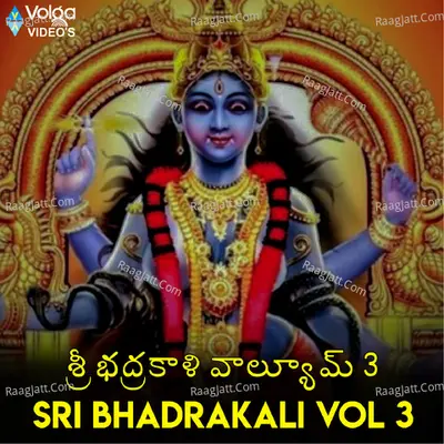 Sri Bhadrakali Vol 3 Poster