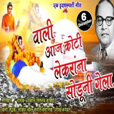 Vikas Bhimrao Kamble Image
