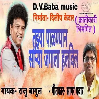 Tuzhya Palnyana Sarya Jagala Halvila Cover