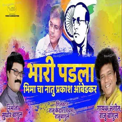 Bhari Padala Bhimacha Natu Prakash Ambedkar Cover