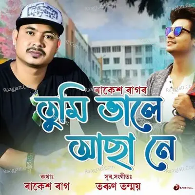 Tumi Bhale Asa Ne Cover