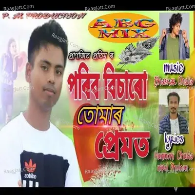 Porib Bixaru