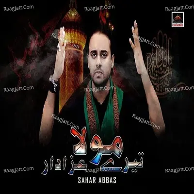 Mola Tere Azadar Poster