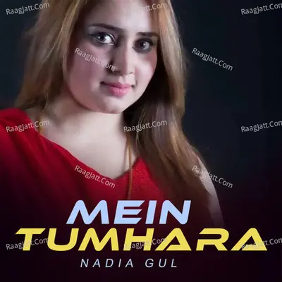 Mein Tumhara